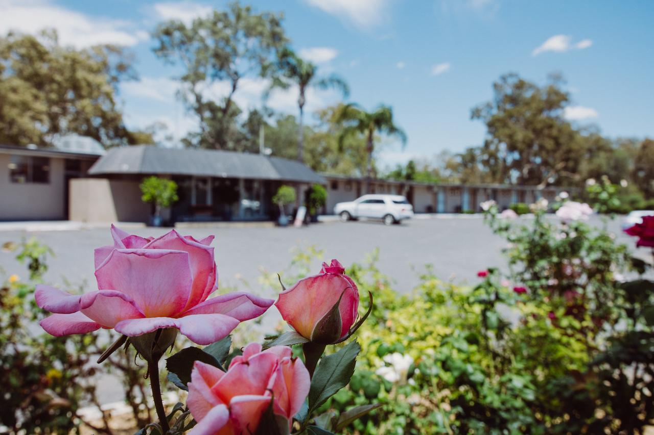 Artesian Spa Motel Moree Luaran gambar